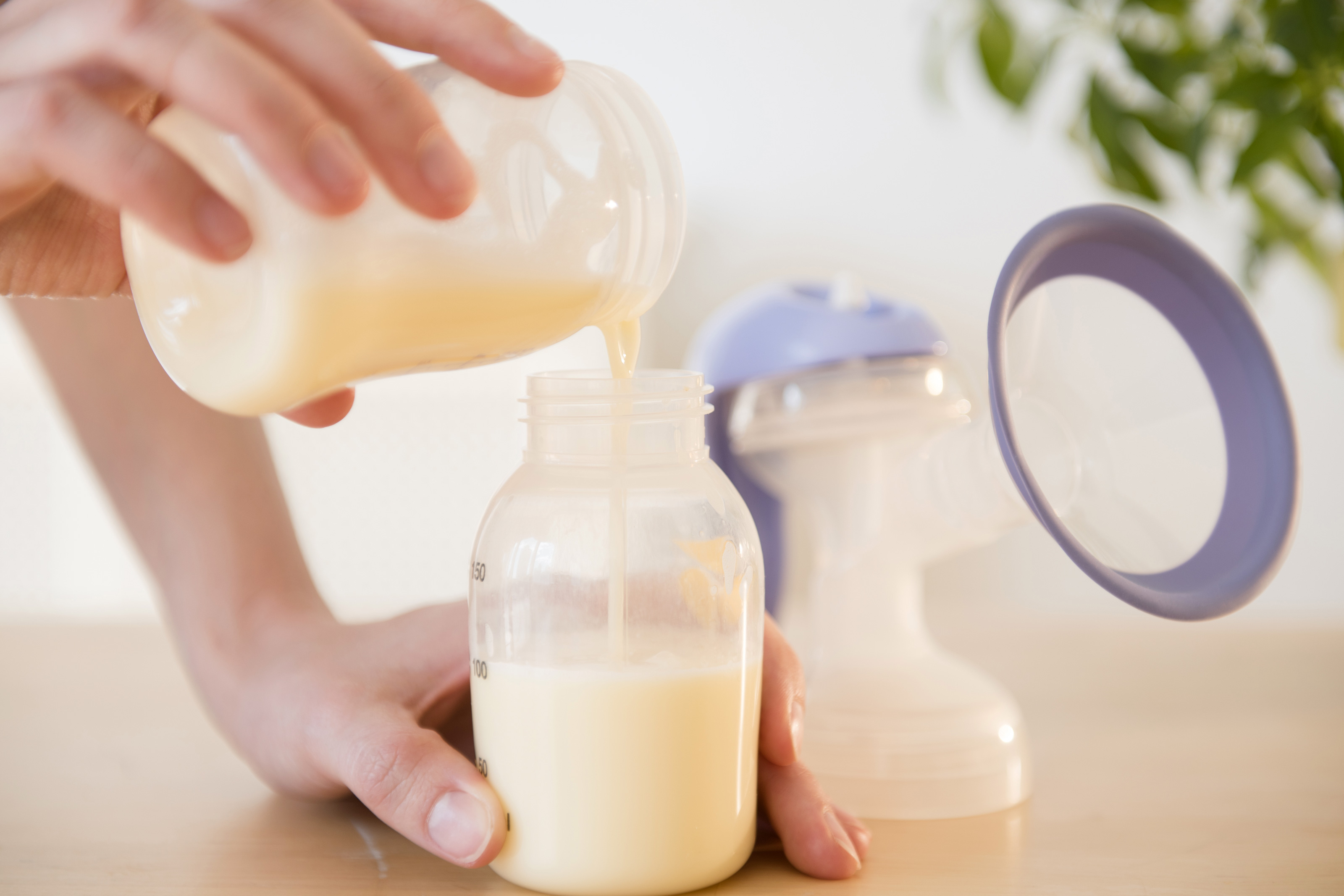 Comment conserver votre lait maternel ?