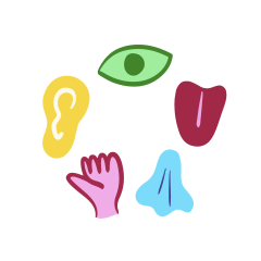 Comment stimuler les 5 sens de bébé ?