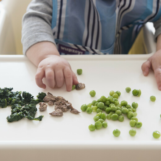 A daily menu consists of: