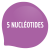 5 NUCLEOTIDES