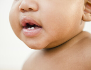 Une alimentation saine & équilibrée