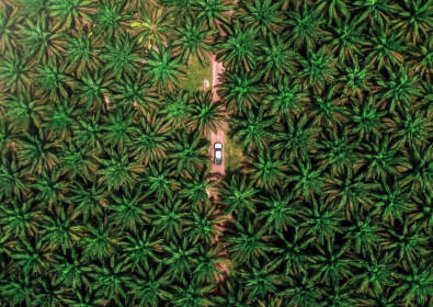 Un lait infantile sans huile de palme