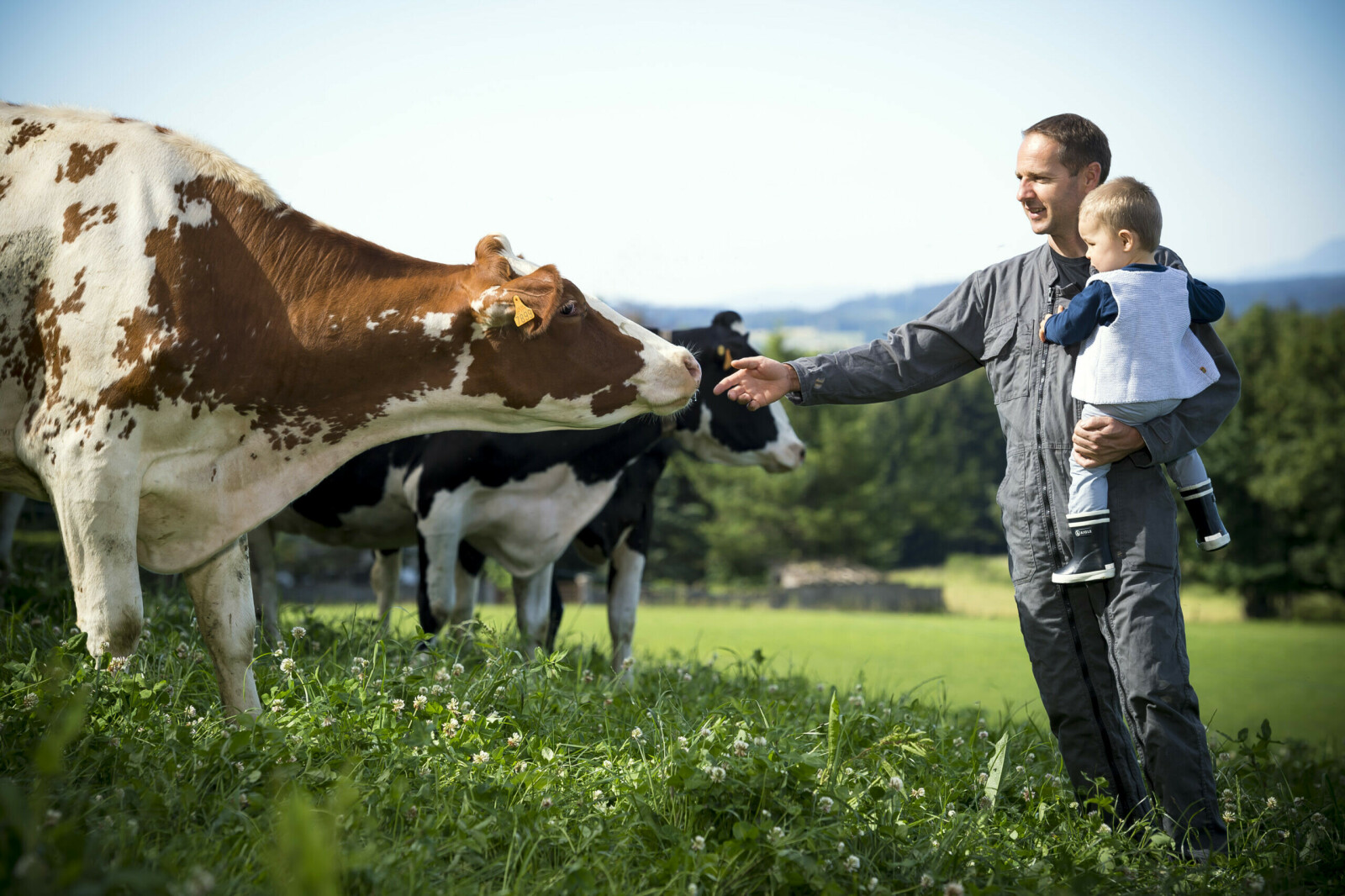 Agriculture et mode de production durables pour une empreinte carbone réduite